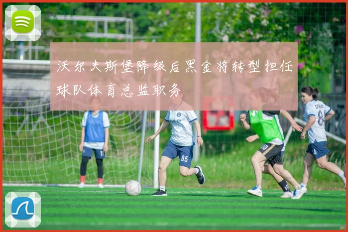 沃尔夫斯堡降级后黑金将转型担任球队体育总监职务